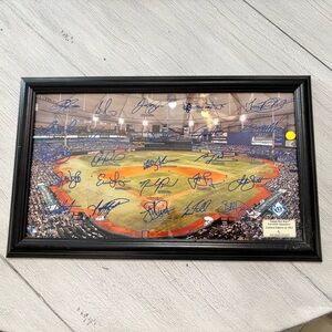 TAMPA BAY RAYS Tropicana Field 2013 Facsimile Signatures Highland Mint Licensed